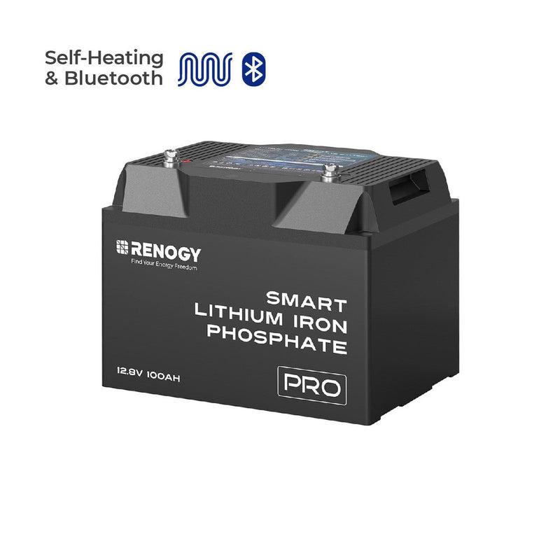 Load image into Gallery viewer, 12V 100Ah Pro Smart Lithium Iron Phosphate Battery w/Bluetooth & Self-heating Function