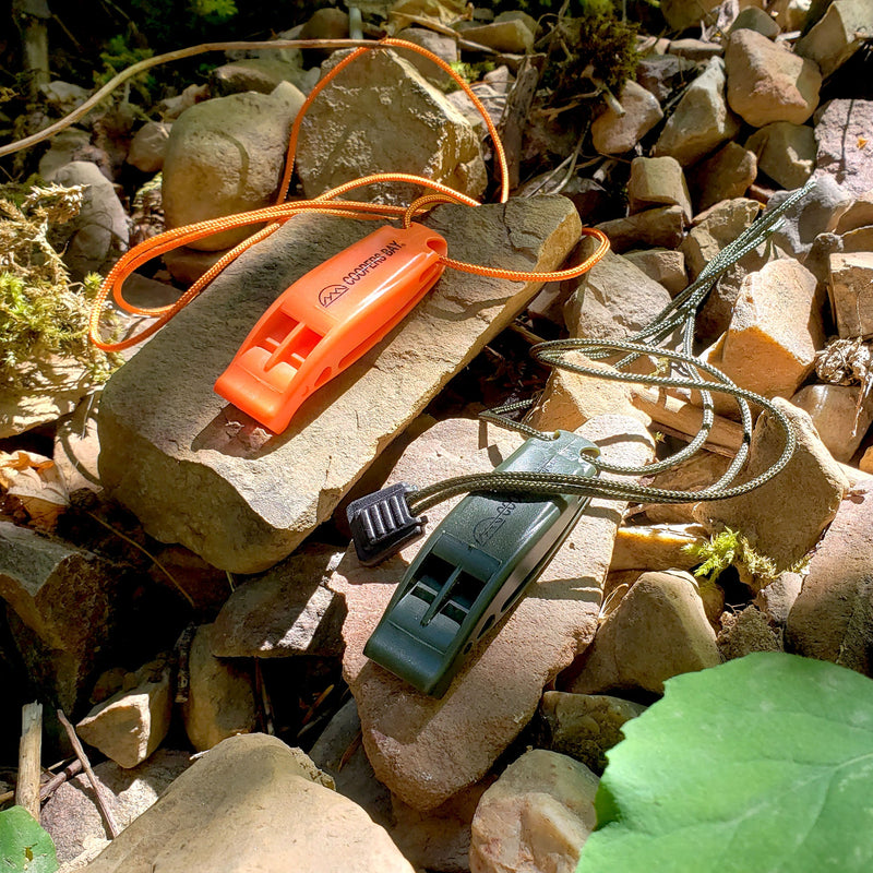 Load image into Gallery viewer, Safety Whistle, Clip-On with Neck Lanyard, 2-pack