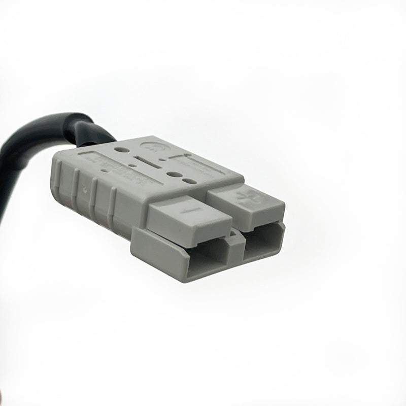 Load image into Gallery viewer, EXP240PRO 20Ah LiFePO4 Power Charger