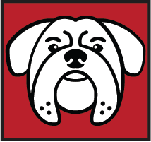 Load image into Gallery viewer, Yankum Ropes 5 Ft Dog Winch Leash