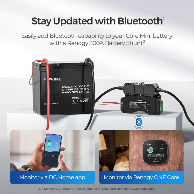 Load image into Gallery viewer, Core Mini - 12.8V 100Ah Lithium Iron Phosphate Battery