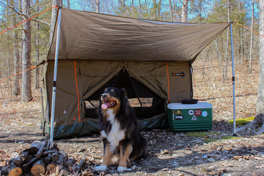 Rental: Camping