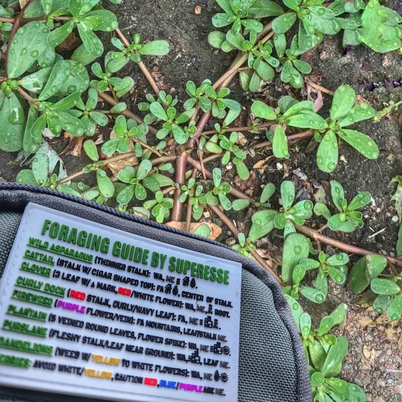Load image into Gallery viewer, Storage Pocket Patch:  &quot;Foraging Guide&quot;, a Plants and Edibles Quick Identification Reference

