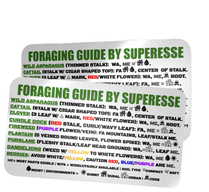Foraging Guide Decal - Plants and Edibles Quick Identification Reference