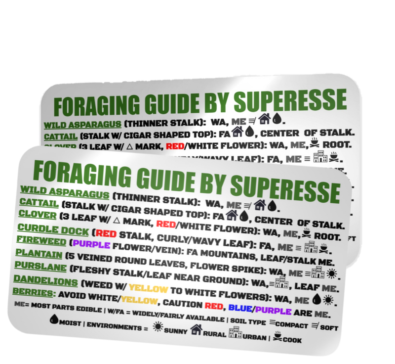 Load image into Gallery viewer, Foraging Guide Decal - Plants and Edibles Quick Identification Reference
