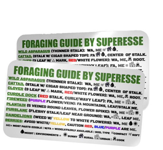 Foraging Guide Decal - Plants and Edibles Quick Identification Reference