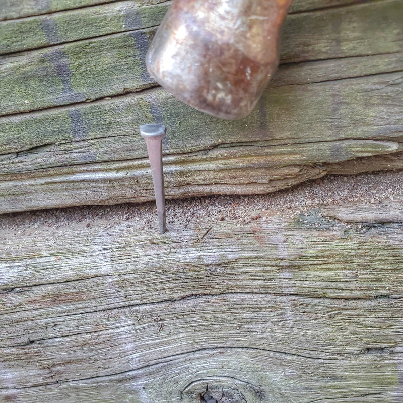 Load image into Gallery viewer, Shelter Nail - Titanium &amp; Steel Wrought Hammering Spike for Trail and Utility Tasks
