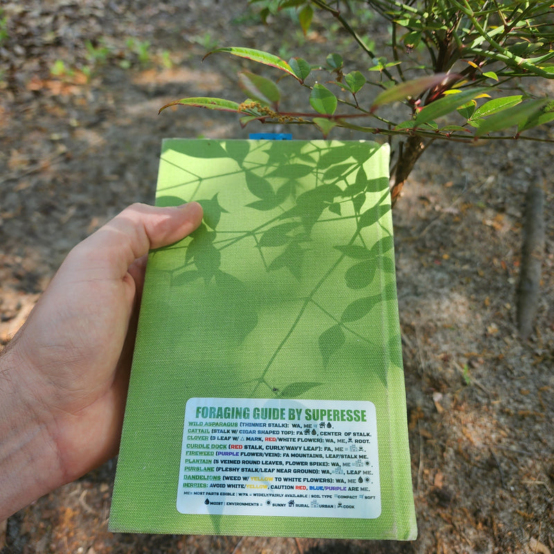Load image into Gallery viewer, Foraging Guide Decal - Plants and Edibles Quick Identification Reference

