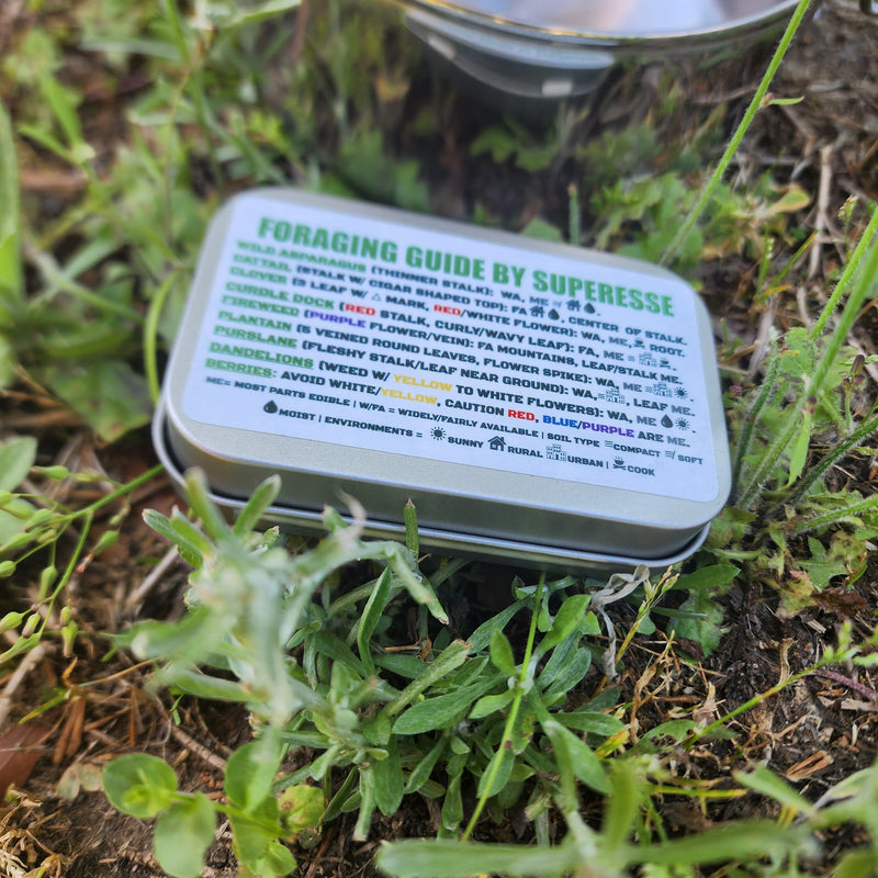 Load image into Gallery viewer, Foraging Guide Decal - Plants and Edibles Quick Identification Reference
