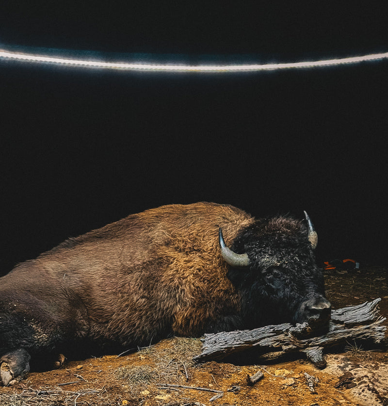 Load image into Gallery viewer, LED Light Rope
