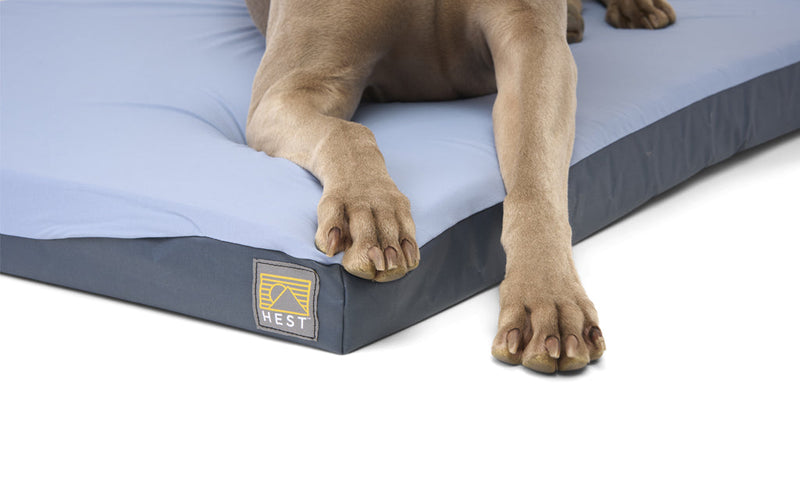Load image into Gallery viewer, HEST Dog Bed

