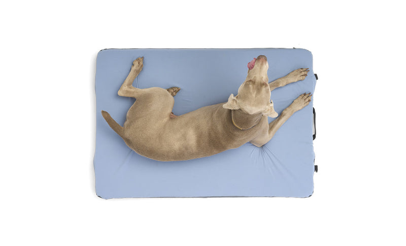 Load image into Gallery viewer, HEST Dog Bed
