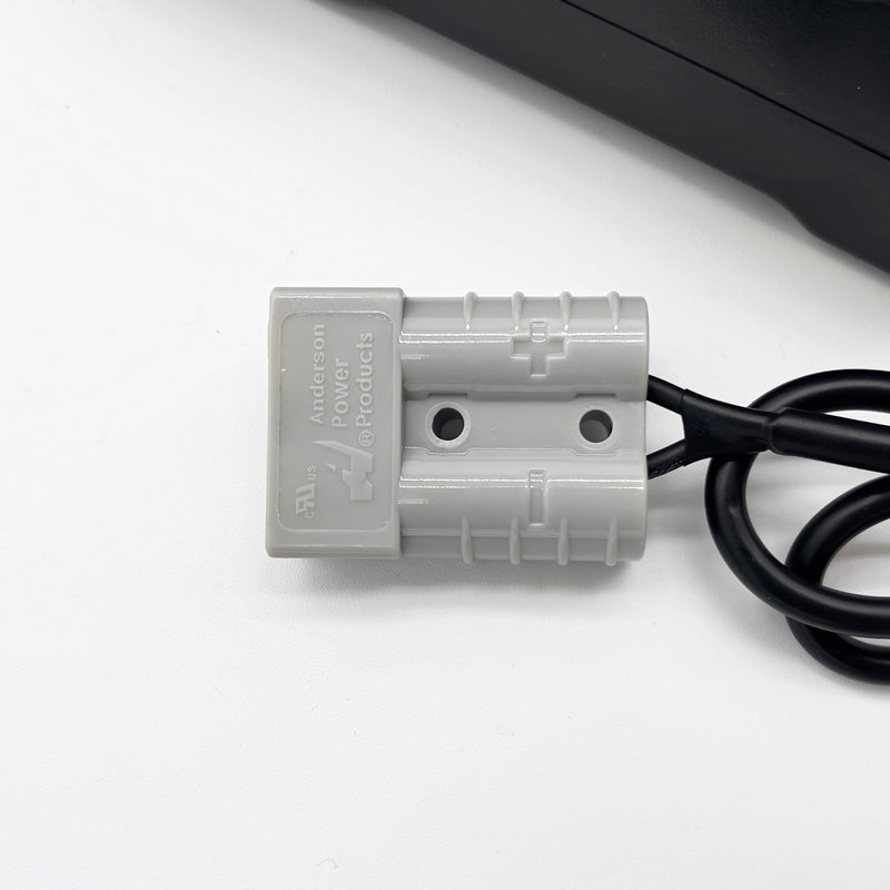 Load image into Gallery viewer, EXP240PRO 10 AH LiFePO4 Power Charger
