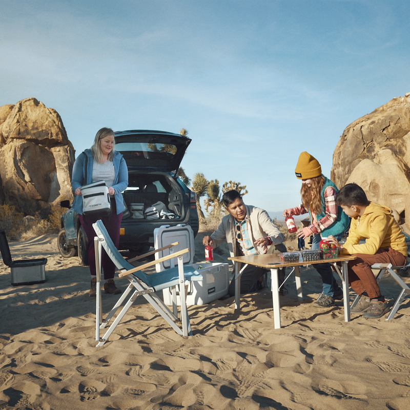 Load image into Gallery viewer, Dometic Outdoor COMPACT CAMP CHAIR  GLACIER
