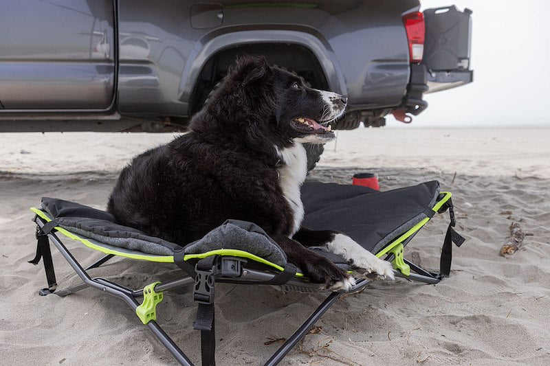 Load image into Gallery viewer, Ironman 4x4 QUICK FOLD DOG BED WITH PADDED MAT
