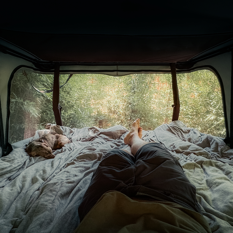 Load image into Gallery viewer, James Baroud ODYSSEY Rooftop Tent
