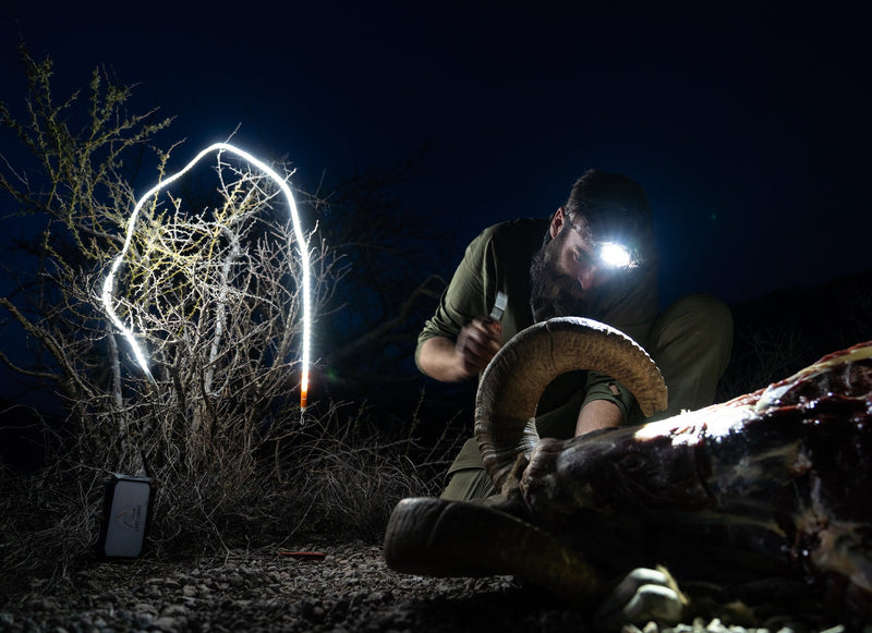 Load image into Gallery viewer, LED Light Rope
