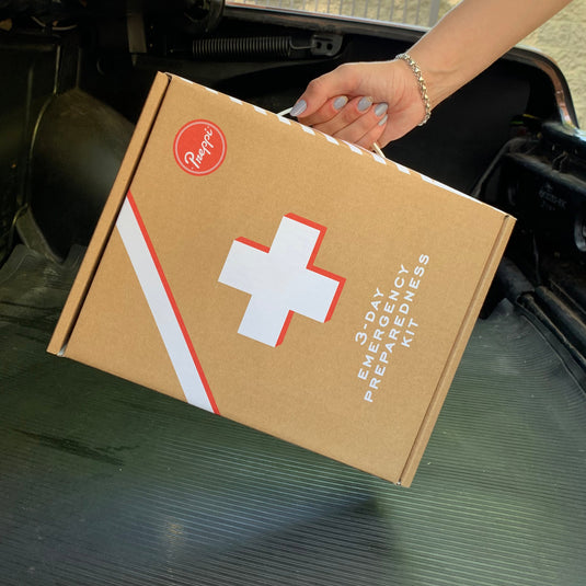 The Preppi GoBox | 3-Day Kit