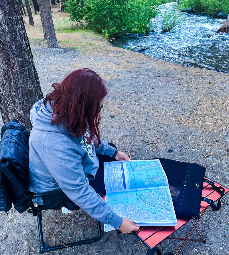 Load image into Gallery viewer, Road Atlas, Laptop/Tablet Seatback Pouch
