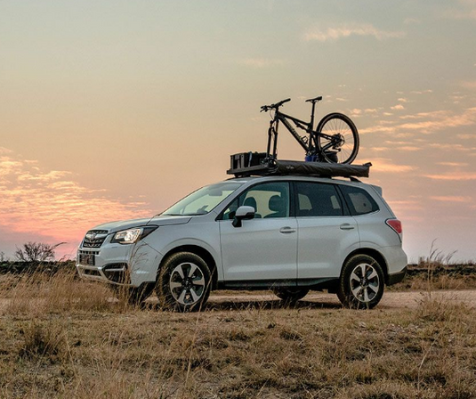 Bike rack for subaru best sale forester 2015